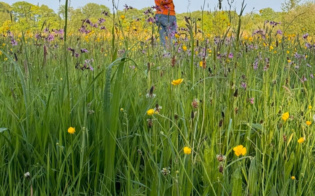 Lente 2024